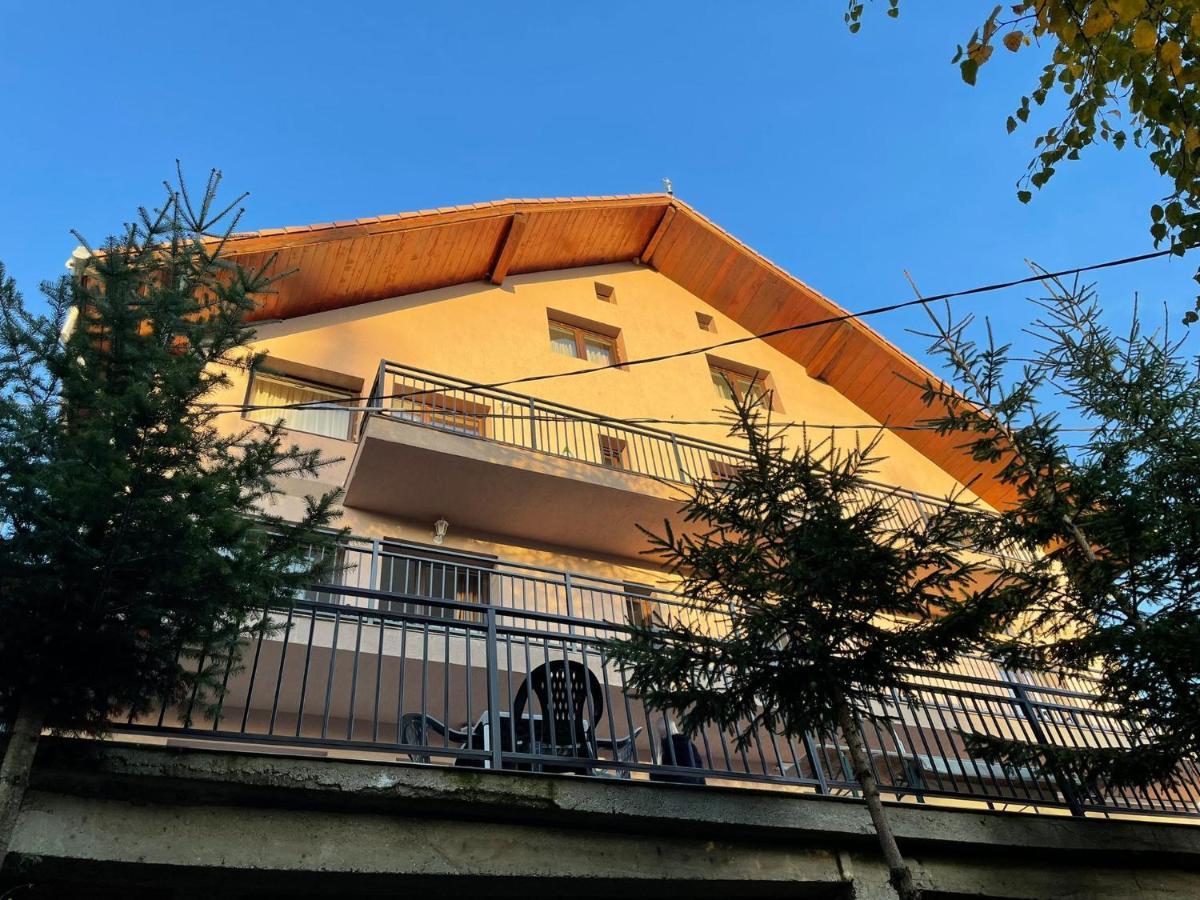 Pensiunea Joe Păltiniş Exterior foto