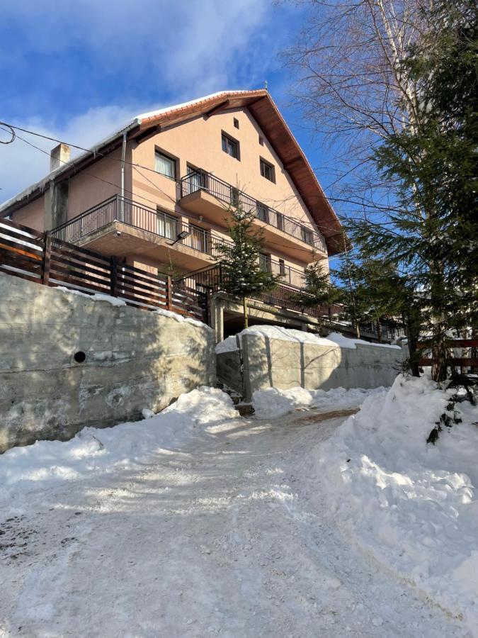 Pensiunea Joe Păltiniş Exterior foto