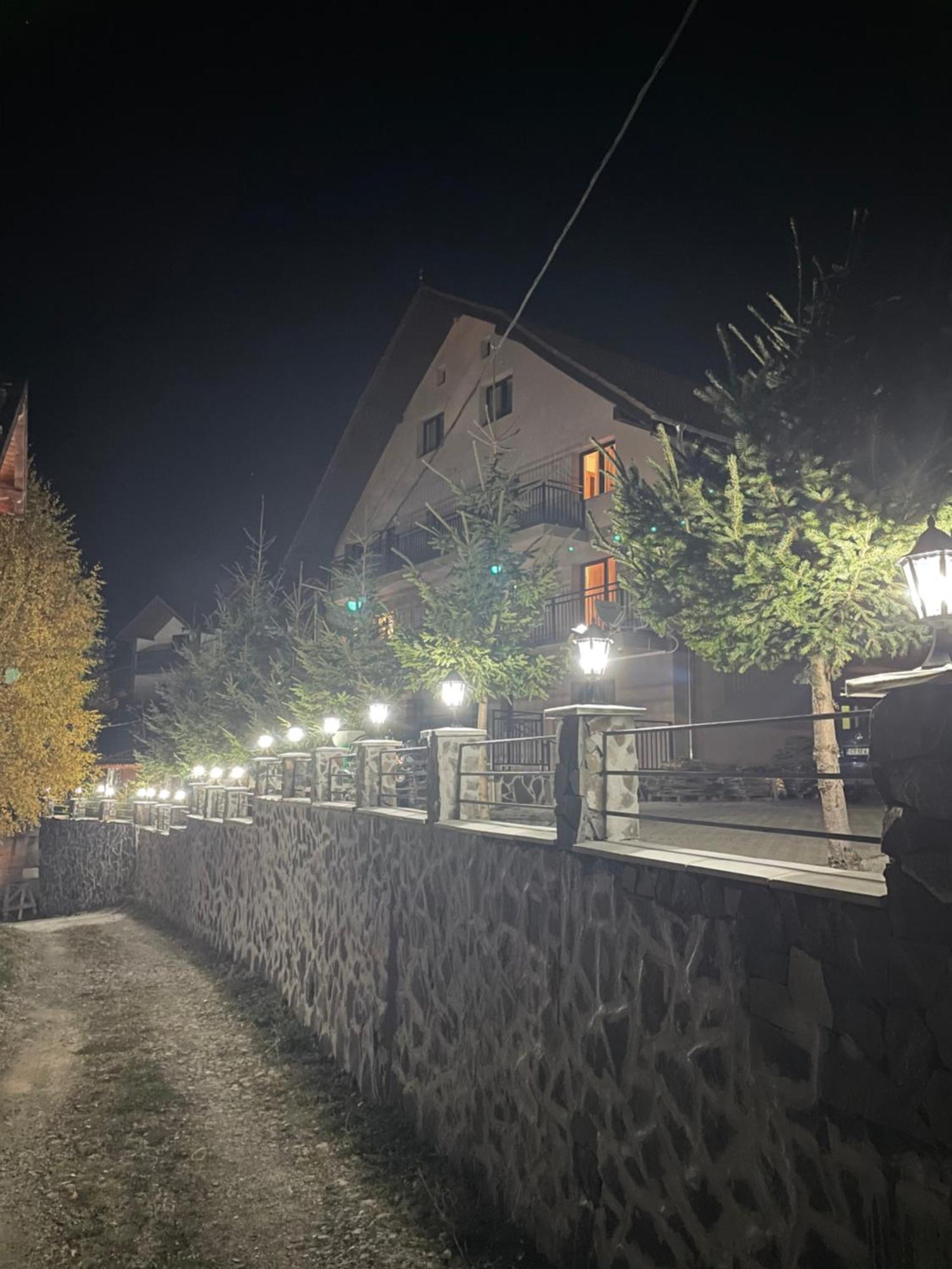 Pensiunea Joe Păltiniş Exterior foto